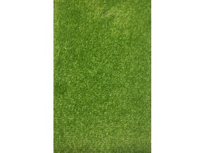 Moderní kusový koberec Eton | zelený (Typ kulatý 200 cm)