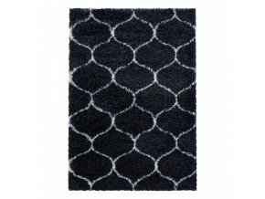Moderní kusový koberec Salsa Shaggy 3201 anthrazit | Černá