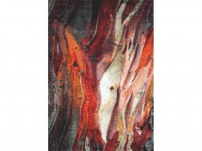 Kusový koberec Rust 21304-910 Red | červená, vícebarevná