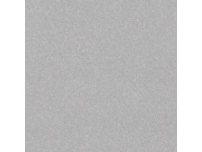 Moderní kusový koberec Nasty 101595 Silber 200x200 cm čtverec | Šedá