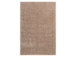 Chlupatý kusový koberec Emilia 250 taupe | Hnědá