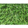 Umělá tráva koberec Aura - šíře 2 m
