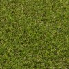 Umělý travní koberec Soft Grass 766 bez nopů - šíře 2 m