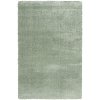 Chlupatý kusový koberec Dolce Vita 01AAA | zelená