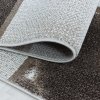 Moderní kusový koberec Ottawa 4201 brown | Vícebarevná