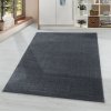 Moderní kusový koberec Rio 4600 grey | Šedá