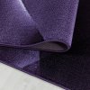 Moderní kusový koberec Costa 3527 lila | Fialová