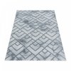 Moderní kusový koberec Naxos 3813 silver | Vícebarevná