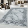 Moderní kusový koberec Naxos 3818 silver | Vícebarevná