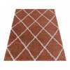 Chlupatý kusový koberec Alvor Shaggy 3401 terra | Oranžová