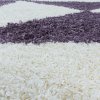 Moderní kusový koberec Tango Shaggy 3101 lila kruh | Vícebarevná