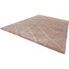 Kusový koberec Allure 102750 rosa creme | růžová