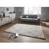 Kusový koberec Allure 104023 Grey/Darkgrey | bílá
