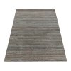 Moderní kusový koberec Royal 4802 Brown | Hnědá
