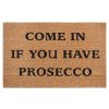 Rohožka Come in if you have prosecco 105660 - na ven i na doma (Typ 45x75)