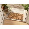 Rohožka Listy 105579 - na ven i na doma (Typ 45x75)