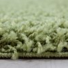 Kusový koberec Dream Shaggy 4000 green (Typ 120x170)