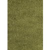Kusový koberec Dream Shaggy 4000 green (Typ 120x170)