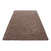 Kusový koberec Dream Shaggy 4000 Mocca (Typ 120x170)