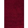 Kusový koberec Dream Shaggy 4000 Red (Typ 80x150)