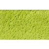 Kusový koberec Spring Green (Typ 80x150)