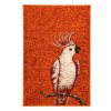 TRHÁK: Kusový koberec Kakadu orange (Typ 80x120)