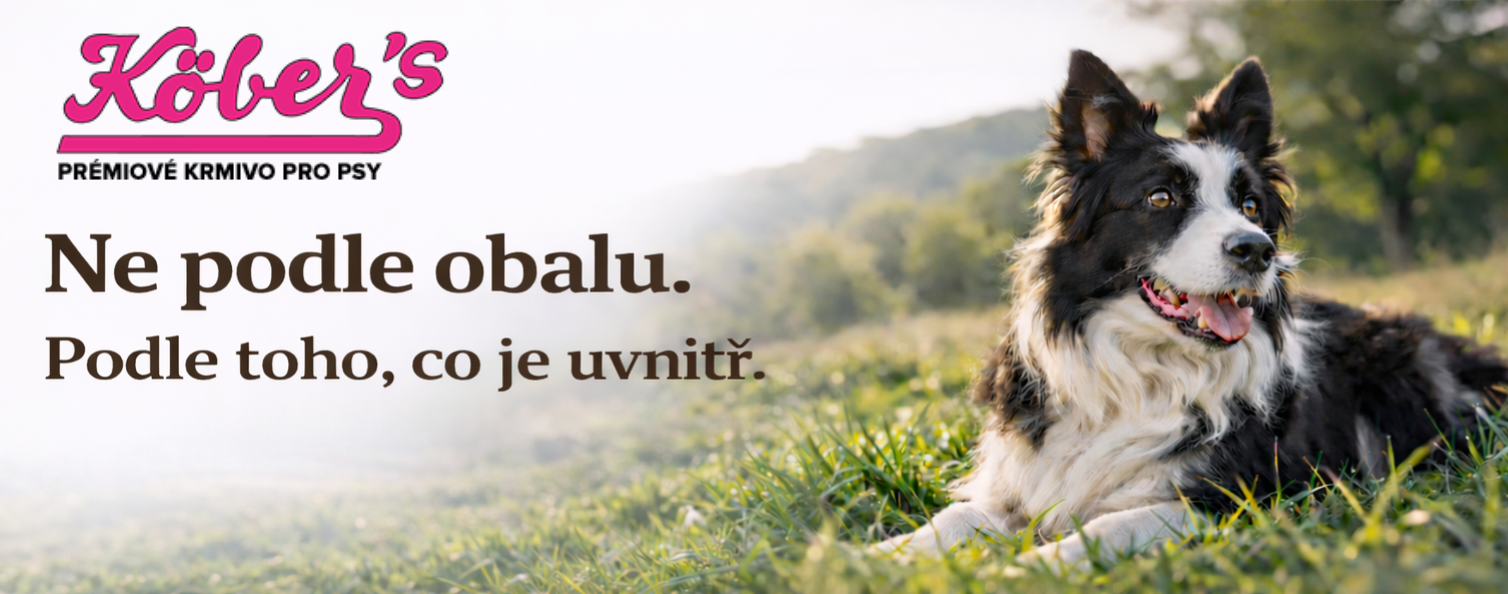 Ne podle obalu. Podle toho, co je uvnitř.