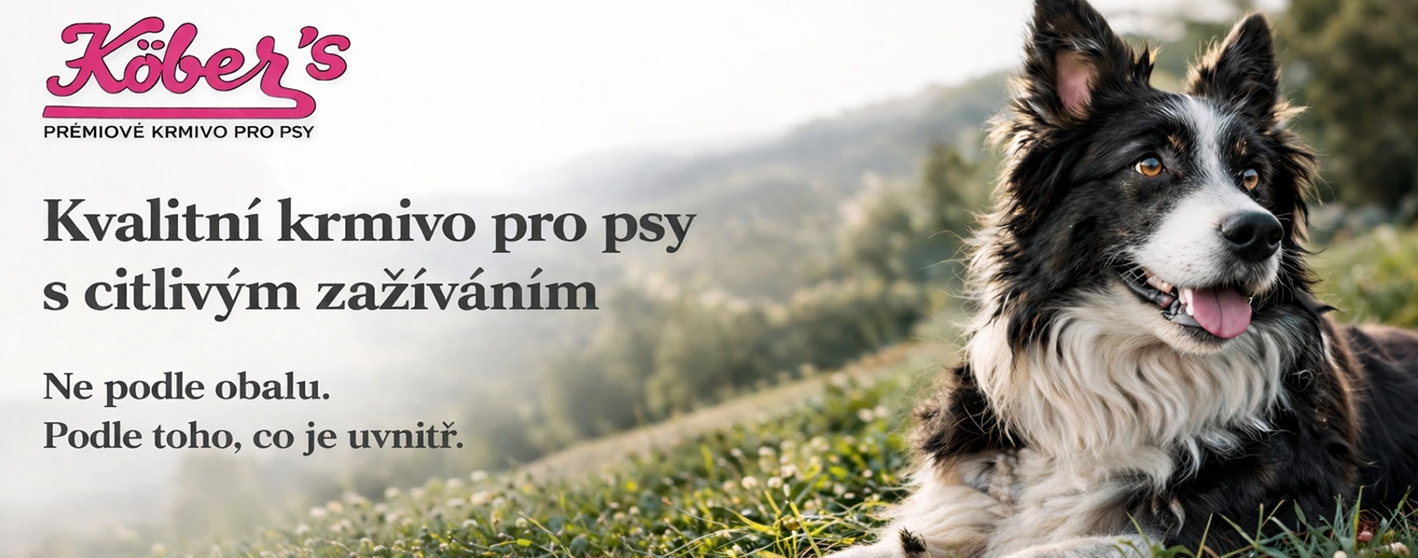 Kvalitní krmivo pro psy