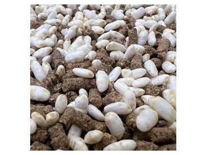 Lamm Reis Classic 1000x1000 m