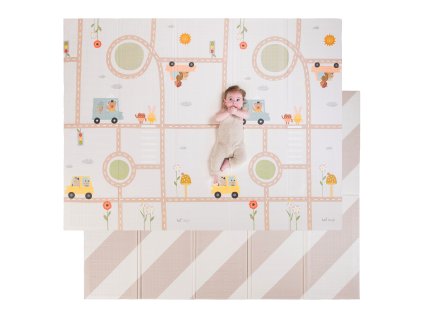 13855TAF uncompressed