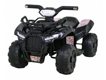 Vehicle Quad Storm Black