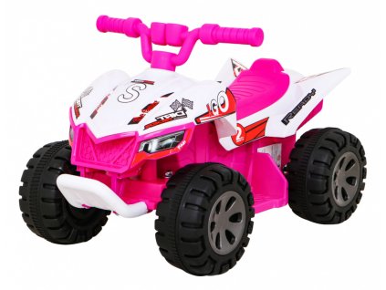 Vehicle Quad THE FASTEST Pink
