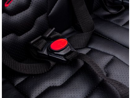 Vehicle Buggy Maverick Turbo RR Black