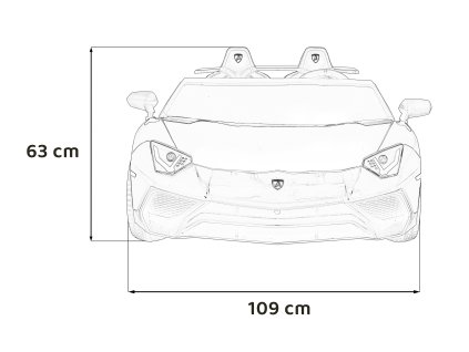 Lamborghini Aventador SV Gray vehicle