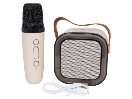Karaoke Microphone and Speaker Set