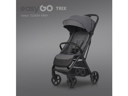 easygo TRIX cloud gray