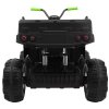 All-terrain Quad 4 x 4 black and green