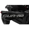 Vehicle Buggy ATV Defend Black