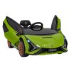 Lamborghini SIAN vehicle Green