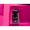 Lamborghini Invencible vehicle Pink