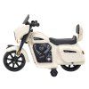 Chopper INDIAN vehicle White