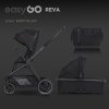 Kočárek EasyGo Reva 2v1  Ebony Black