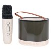 Karaoke Microphone + Illuminated Speaker Set