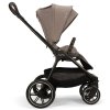 Nuna TRIV LX All-Season | Cedar