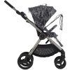 Anex IQ Starless
