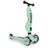 Scoot & Ride Highwaykick 1 (Barva Ash)