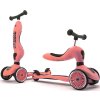 Scoot & Ride Highwaykick 1 (Barva Ash)