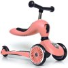 Scoot & Ride Highwaykick 1 (Barva Ash)