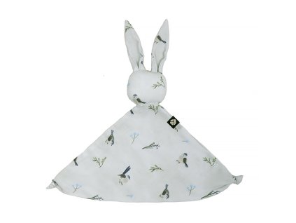 16c22cffbefb02083363d8d768c9c27d img 9934