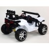 DVOUMÍSTNÁ BUGGY COOL SPORT 4X45